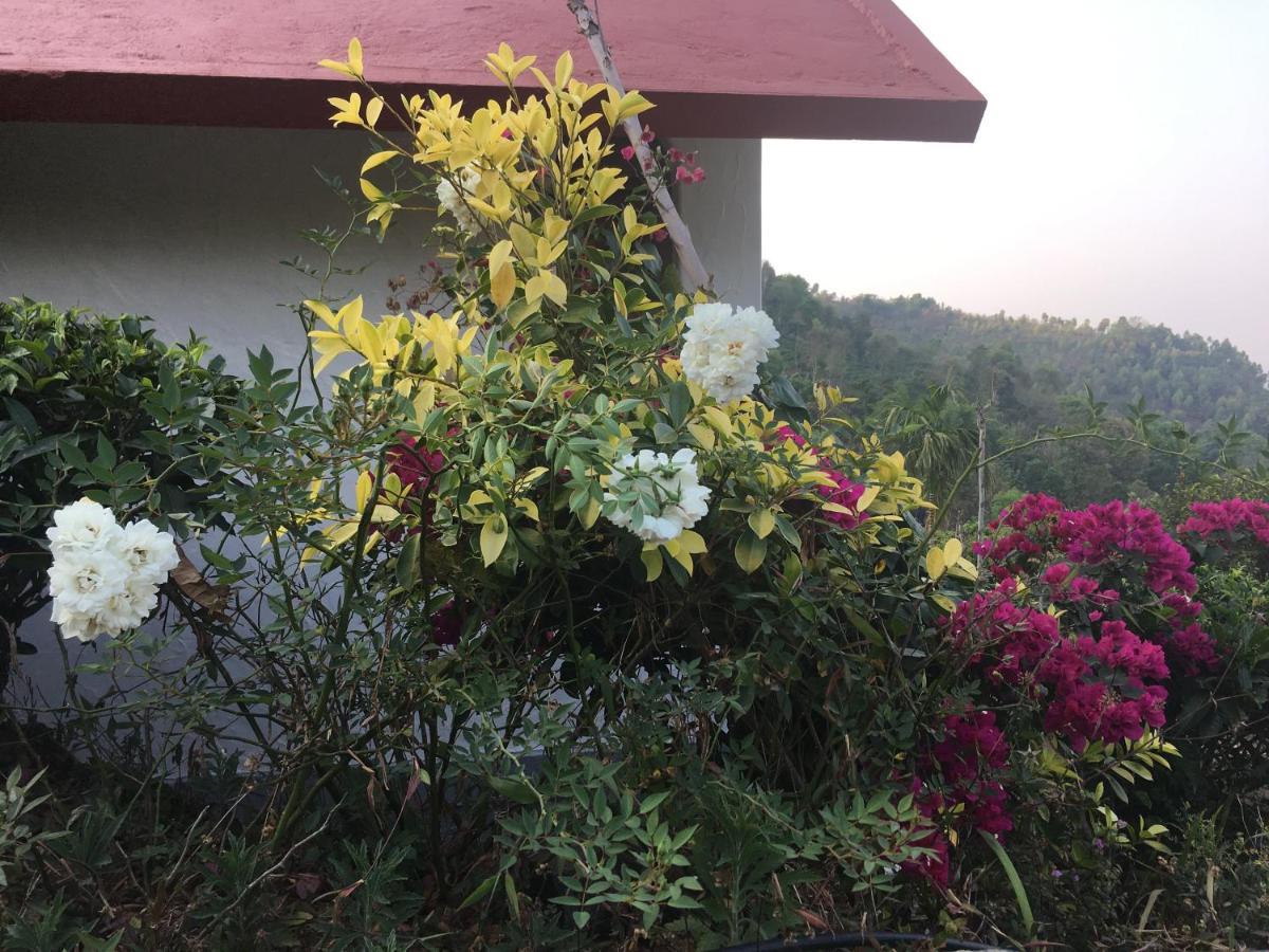 Tea Terrace Vythiri Hotel Wayanad Exterior foto