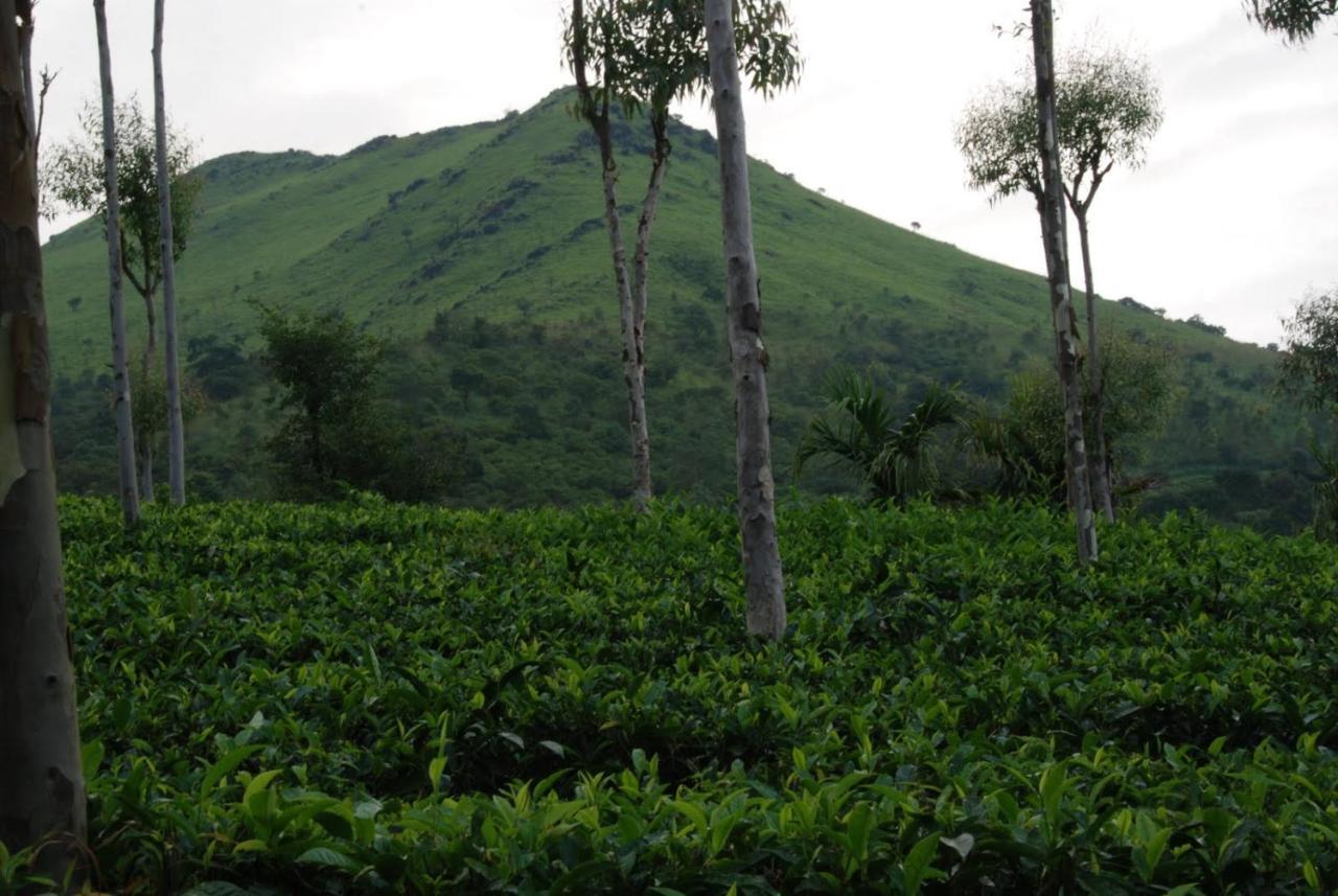 Tea Terrace Vythiri Hotel Wayanad Exterior foto