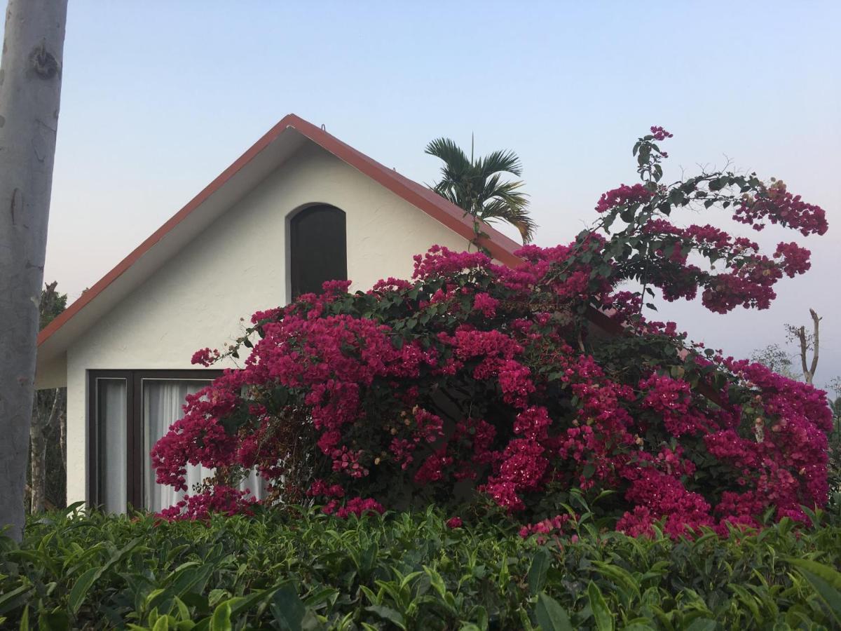 Tea Terrace Vythiri Hotel Wayanad Exterior foto