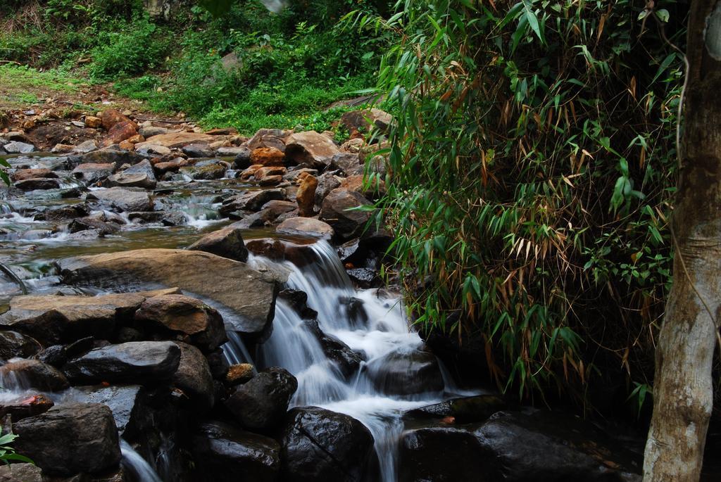 Tea Terrace Vythiri Hotel Wayanad Exterior foto
